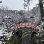 雪の下鴨神社と糺の森