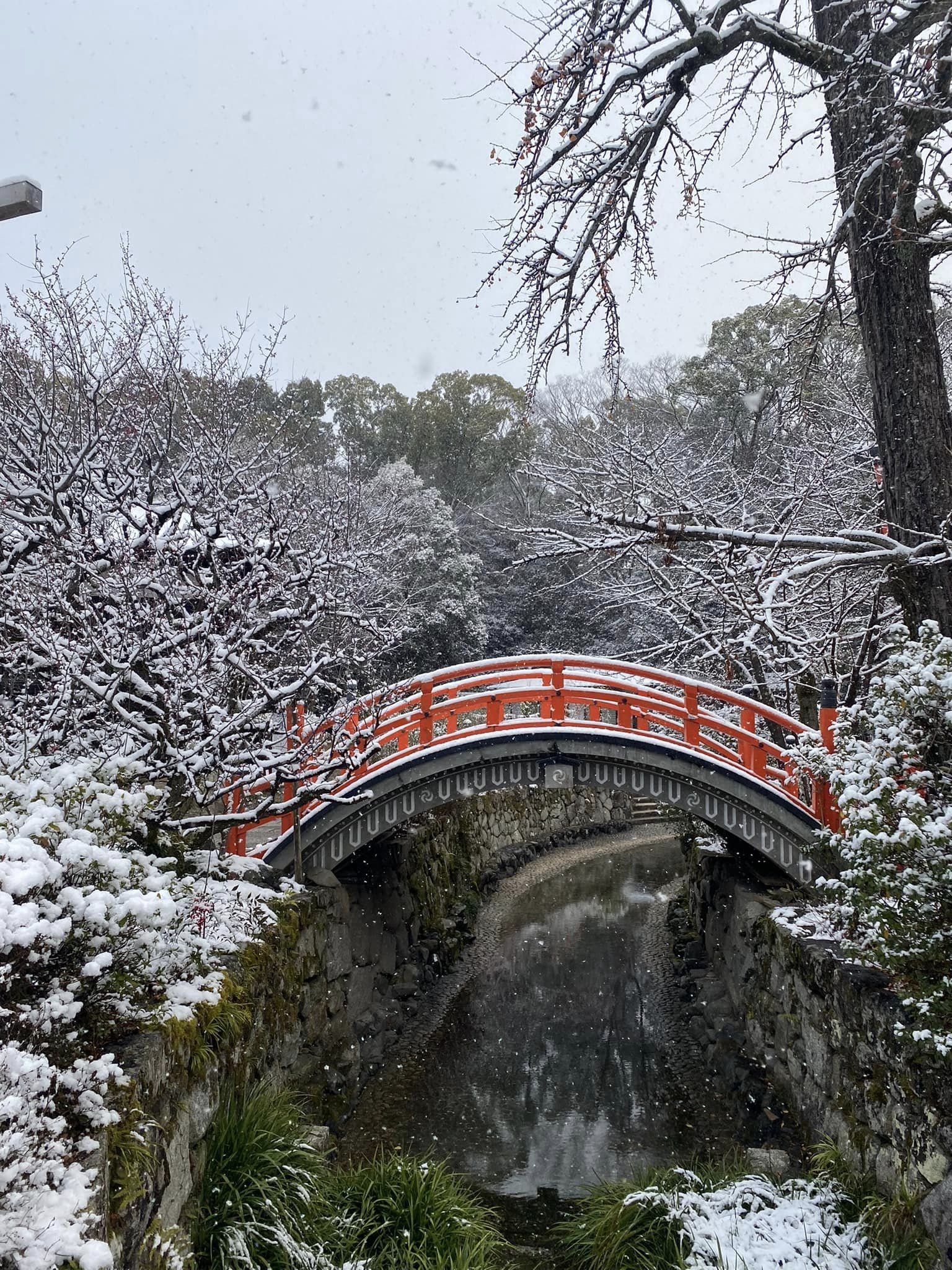 雪の下鴨神社と糺の森