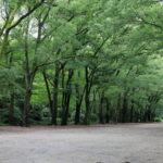 5月度レイキ修了者交流会