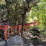 直傳靈氣セミナーを開催しました！