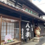 京都市内どこを見ても見事に満開の桜