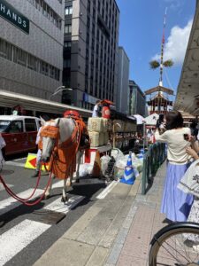 白馬(神馬)が。