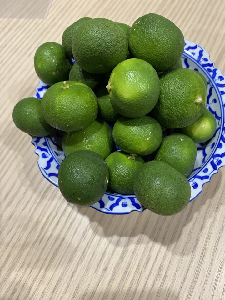 直伝霊気セミナーを開催しました！