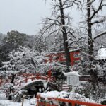 朝からハラハラと雪が降りあっという間に積もりました