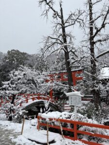 朝からハラハラと雪が降りあっという間に積もりました