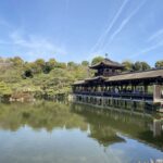 平安神宮の神苑の紅枝垂れ