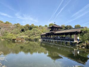 平安神宮の神苑の紅枝垂れ