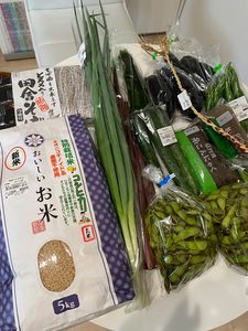 黒豆枝豆を買いにスプリングひよしへ